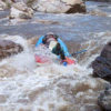 Dragonfly on the Salt River Arizona