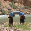 Back to run it again- Kwagunt - Grand Canyon